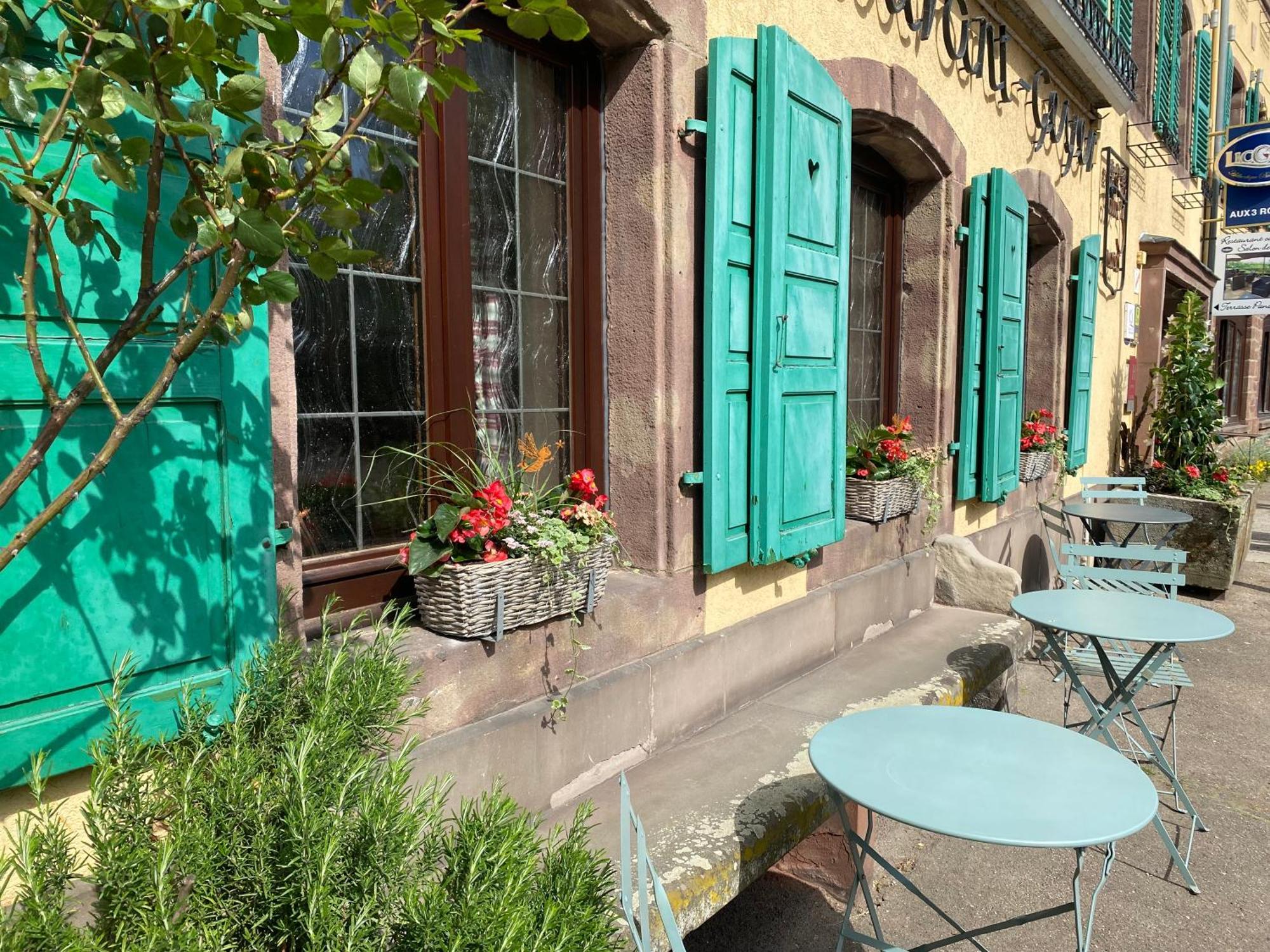 Hotel Restaurant Aux Trois Roses La Petite-Pierre Ngoại thất bức ảnh